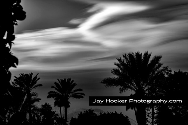 The silky sky above the palm trees makes the photograph look like a painting. 